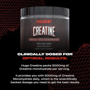 HUGE SUPPLEMENTS - Huge Supplements Creatine Monohydrate Powder 30 Servicios 150Gr. - The Red Vitamin MX - Suplementos Alimenticios - {{ shop.shopifyCountryName }}