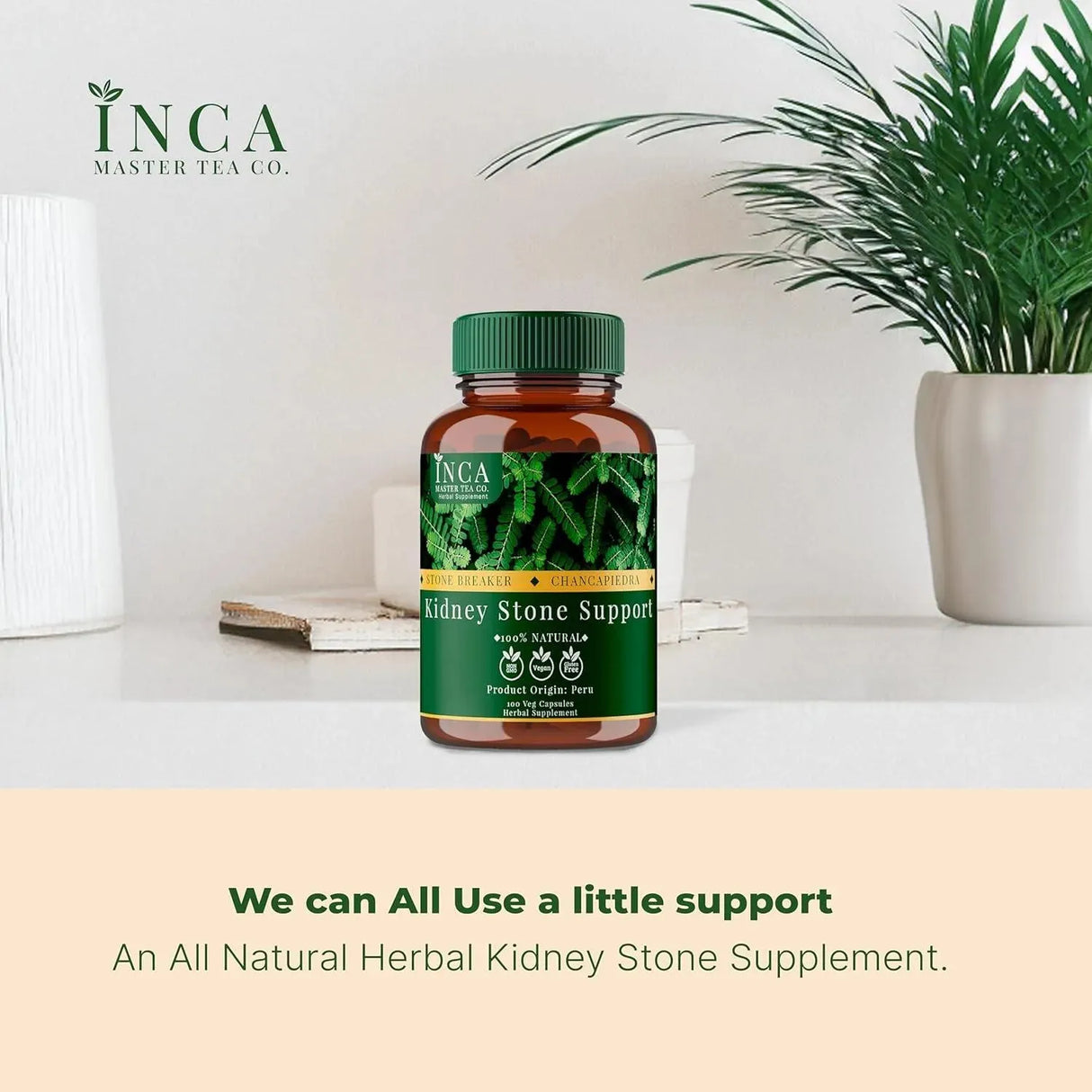 INCA MASTER TEA - INCA MASTER TEA Kidney Support 100 Capsulas - The Red Vitamin MX - Suplementos Alimenticios - {{ shop.shopifyCountryName }}