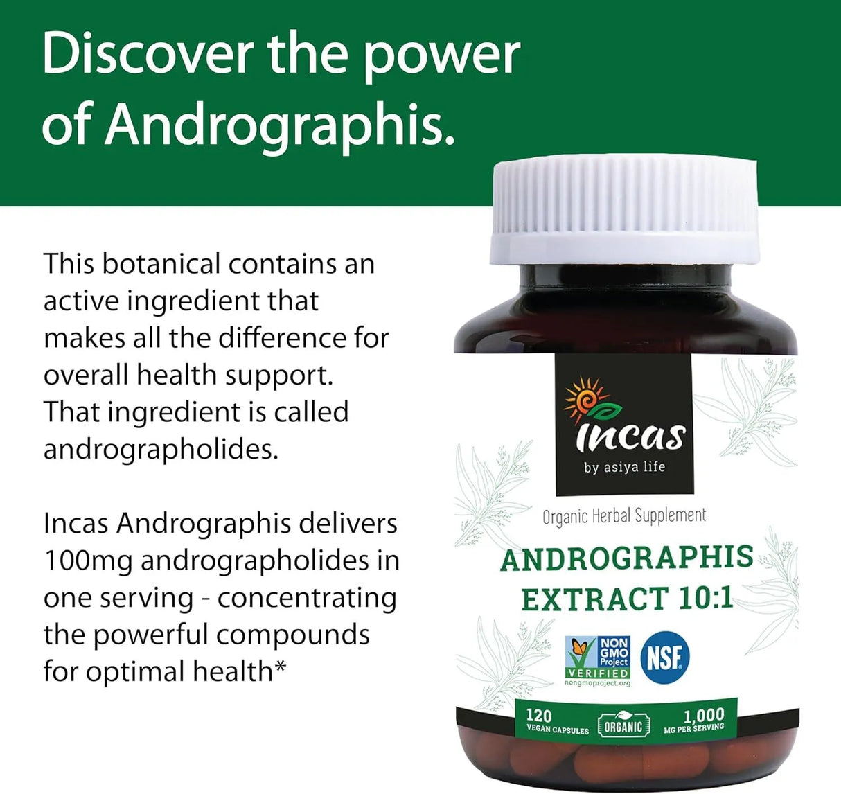 INCAS - INCAS Organic Andrographis 1,000Mg. 120 Capsulas - The Red Vitamin MX - Suplementos Alimenticios - {{ shop.shopifyCountryName }}