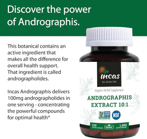 INCAS - INCAS Organic Andrographis 1,000Mg. 120 Capsulas - The Red Vitamin MX - Suplementos Alimenticios - {{ shop.shopifyCountryName }}