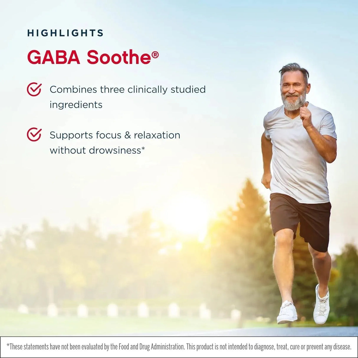 JARROW FORMULAS - Jarrow Formulas GABA Soothe 30 Capsulas 2 Pack - The Red Vitamin MX - Suplementos Alimenticios - {{ shop.shopifyCountryName }}