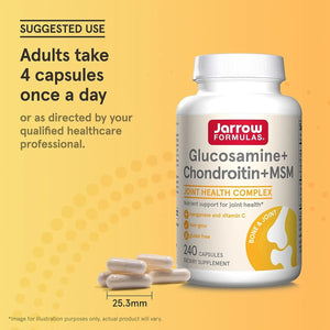 JARROW FORMULAS - Jarrow Formulas Glucosamine+Chondroitin+MSM Supports Joint Health 240 Capsulas - The Red Vitamin MX - Suplementos Alimenticios - {{ shop.shopifyCountryName }}