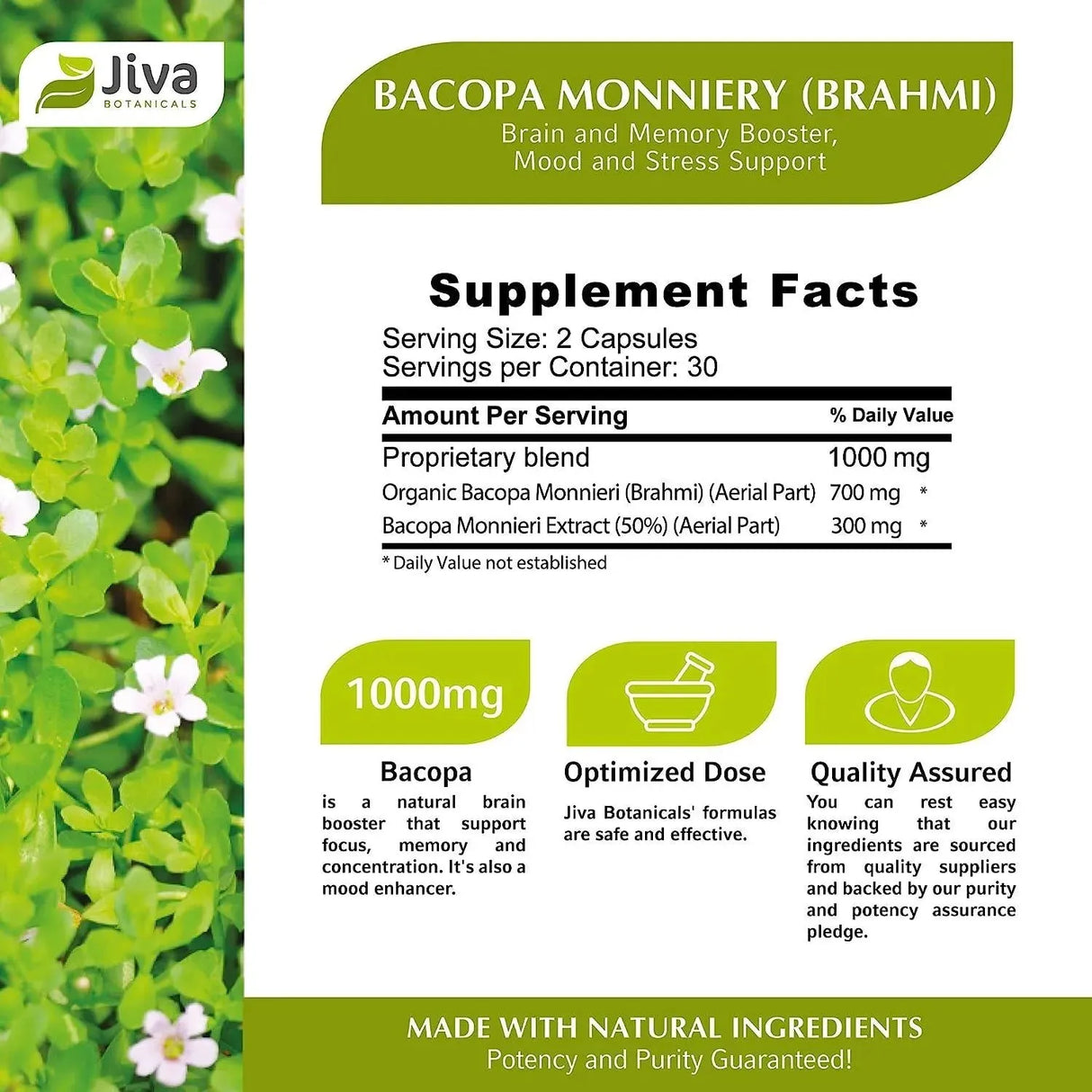 JIVA BOTANICALS - Jiva Botanicals Bacopa Monnieri/Brahmi 300Mg. 60 Capsulas - The Red Vitamin MX - Suplementos Alimenticios - {{ shop.shopifyCountryName }}