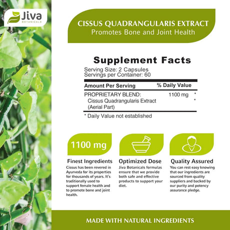 JIVA BOTANICALS - Jiva Botanicals Cissus Quadrangularis 1100Mg. 120 Capsulas - The Red Vitamin MX - Suplementos Alimenticios - {{ shop.shopifyCountryName }}