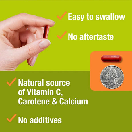 JIVA BOTANICALS - Jiva Botanicals Lycopene 30Mg. 120 Capsulas - The Red Vitamin MX - Suplementos Alimenticios - {{ shop.shopifyCountryName }}