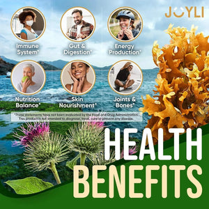 JOYLI NUTRITION - Joyli Nutrition Sea Moss Gummies 60 Gomitas - The Red Vitamin MX - Suplementos Alimenticios - {{ shop.shopifyCountryName }}