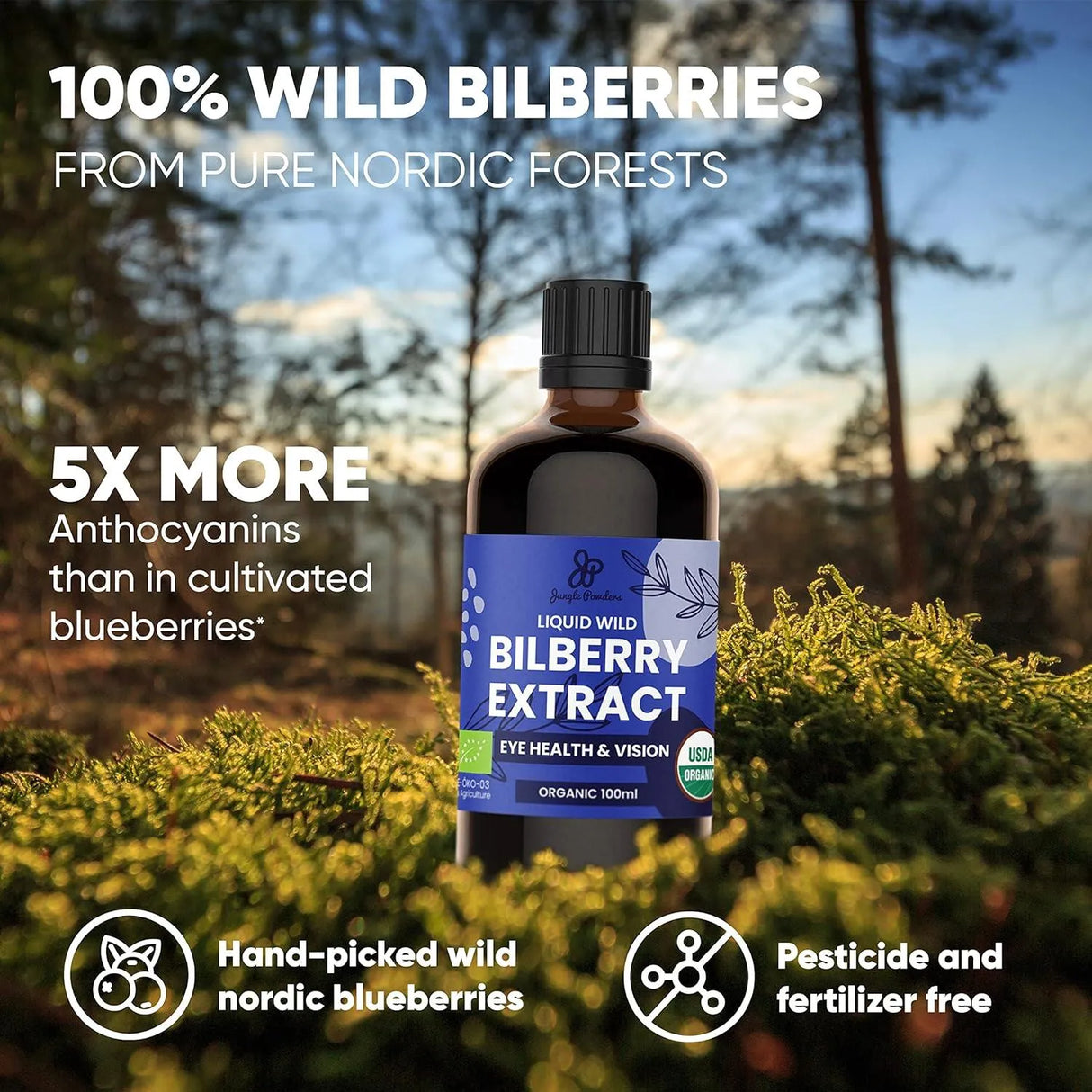 JUNGLE POWDERS - Jungle Powders Wild Bilberry Extract 100Ml. - The Red Vitamin MX - Suplementos Alimenticios - {{ shop.shopifyCountryName }}