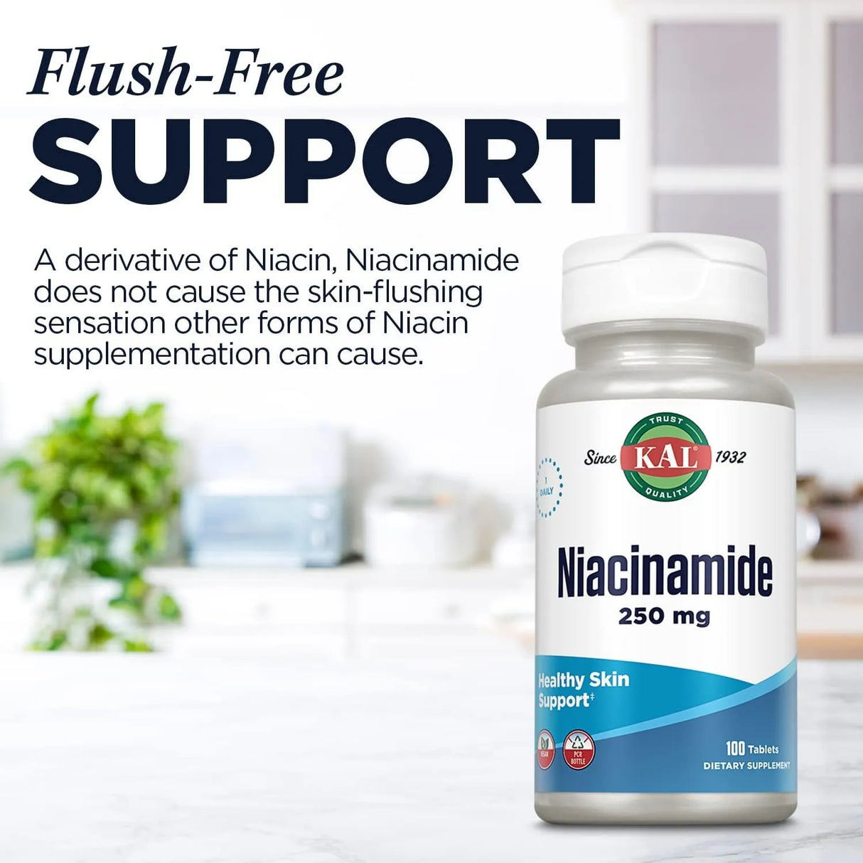 KAL - KAL Niacinamide 250Mg. 100 Tabletas - The Red Vitamin MX - Suplementos Alimenticios - {{ shop.shopifyCountryName }}