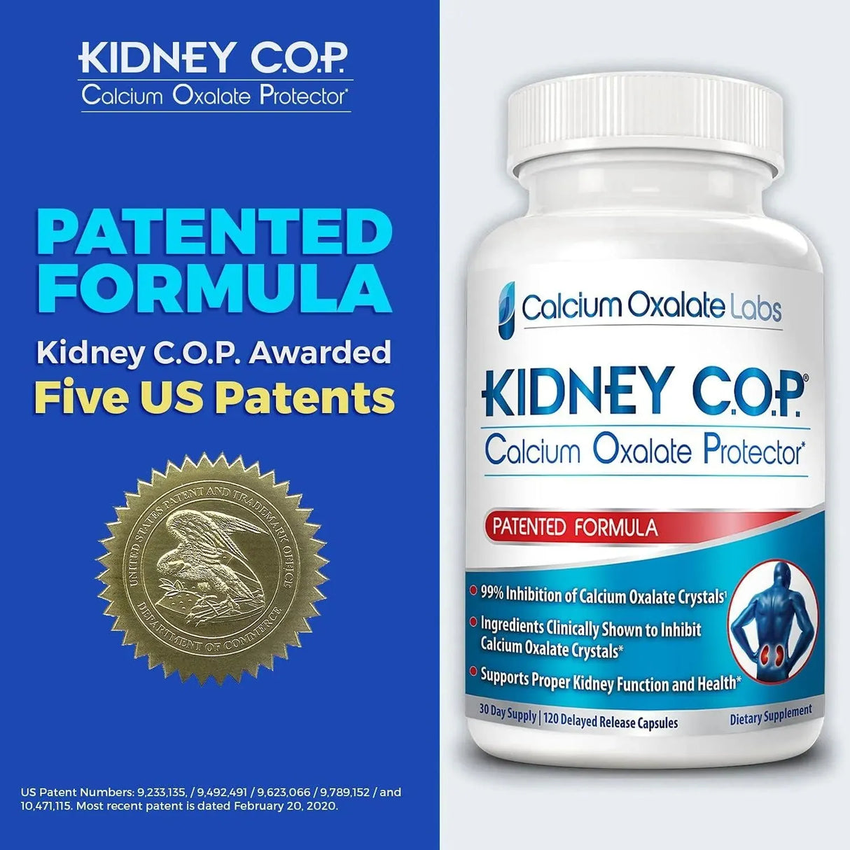 KIDNEY C.O.P. - Kidney COP Calcium Oxalate Protector 120 Capsulas - The Red Vitamin MX - Suplementos Alimenticios - {{ shop.shopifyCountryName }}