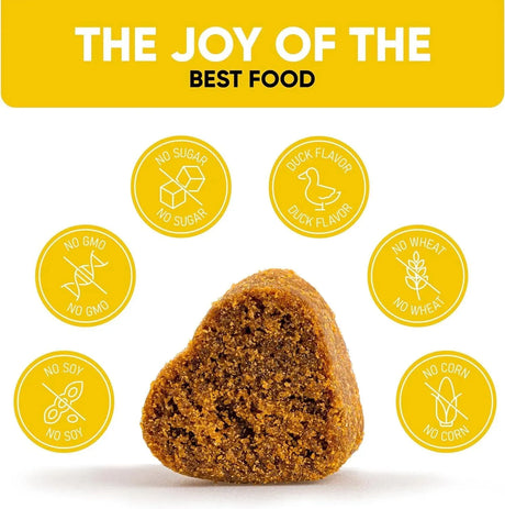 KINPUR PET CARE - Kinpur Pet Care Probiotics for Dogs 180 Masticables - The Red Vitamin MX - Probióticos Para Perros - {{ shop.shopifyCountryName }}