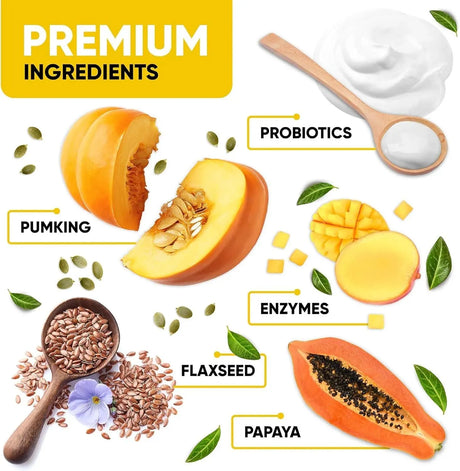 KINPUR PET CARE - Kinpur Pet Care Probiotics for Dogs 180 Masticables - The Red Vitamin MX - Probióticos Para Perros - {{ shop.shopifyCountryName }}