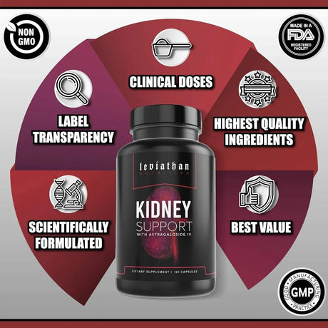 LEVITHAN - Leviathan Super Kidney Cleanse & Urinary Detox Formula 120 Capsulas - The Red Vitamin MX - Suplementos Alimenticios - {{ shop.shopifyCountryName }}