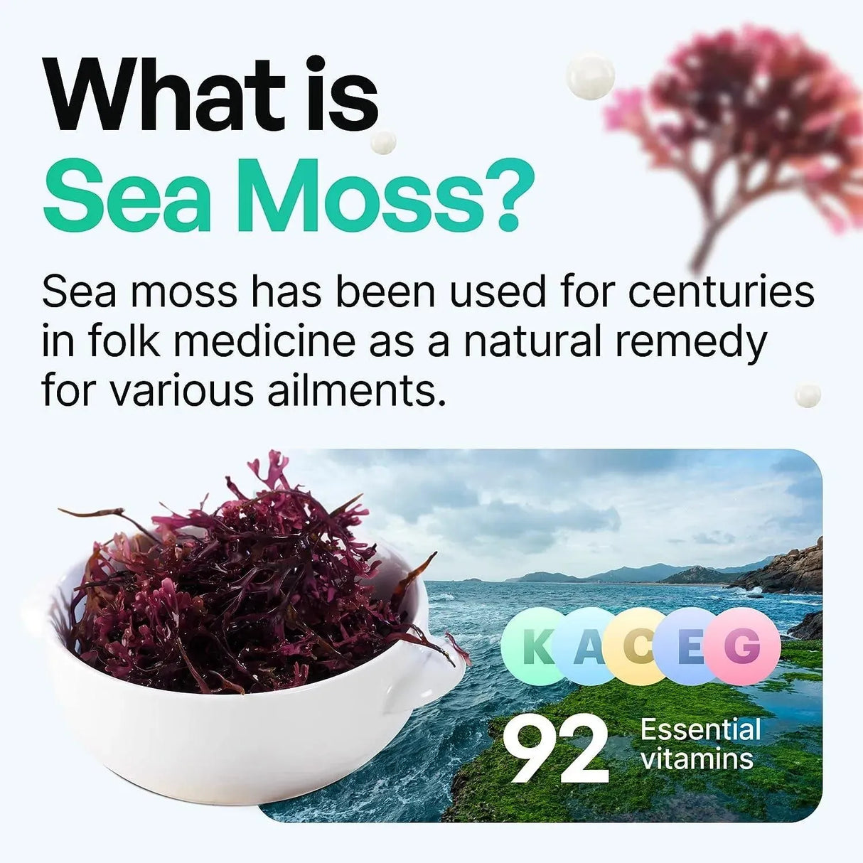 LIBERAZEN - Liberazen Organic Irish Sea Moss 60 Capsulas - The Red Vitamin MX - Suplementos Alimenticios - {{ shop.shopifyCountryName }}