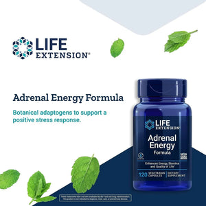 LIFE EXTENSION - Life Extension Adrenal Energy Formula 120 Capsulas - The Red Vitamin MX - Suplementos Alimenticios - {{ shop.shopifyCountryName }}