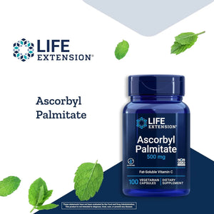 LIFE EXTENSION - Life Extension Ascorbyl Palmitate 500Mg. 100 Capsulas - The Red Vitamin MX - Suplementos Alimenticios - {{ shop.shopifyCountryName }}