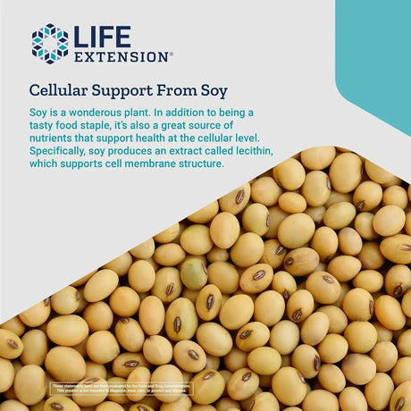 LIFE EXTENSION - Life Extension Lecithin 97% Phosphatides De-Oiled 454Gr. - The Red Vitamin MX - Suplementos Alimenticios - {{ shop.shopifyCountryName }}