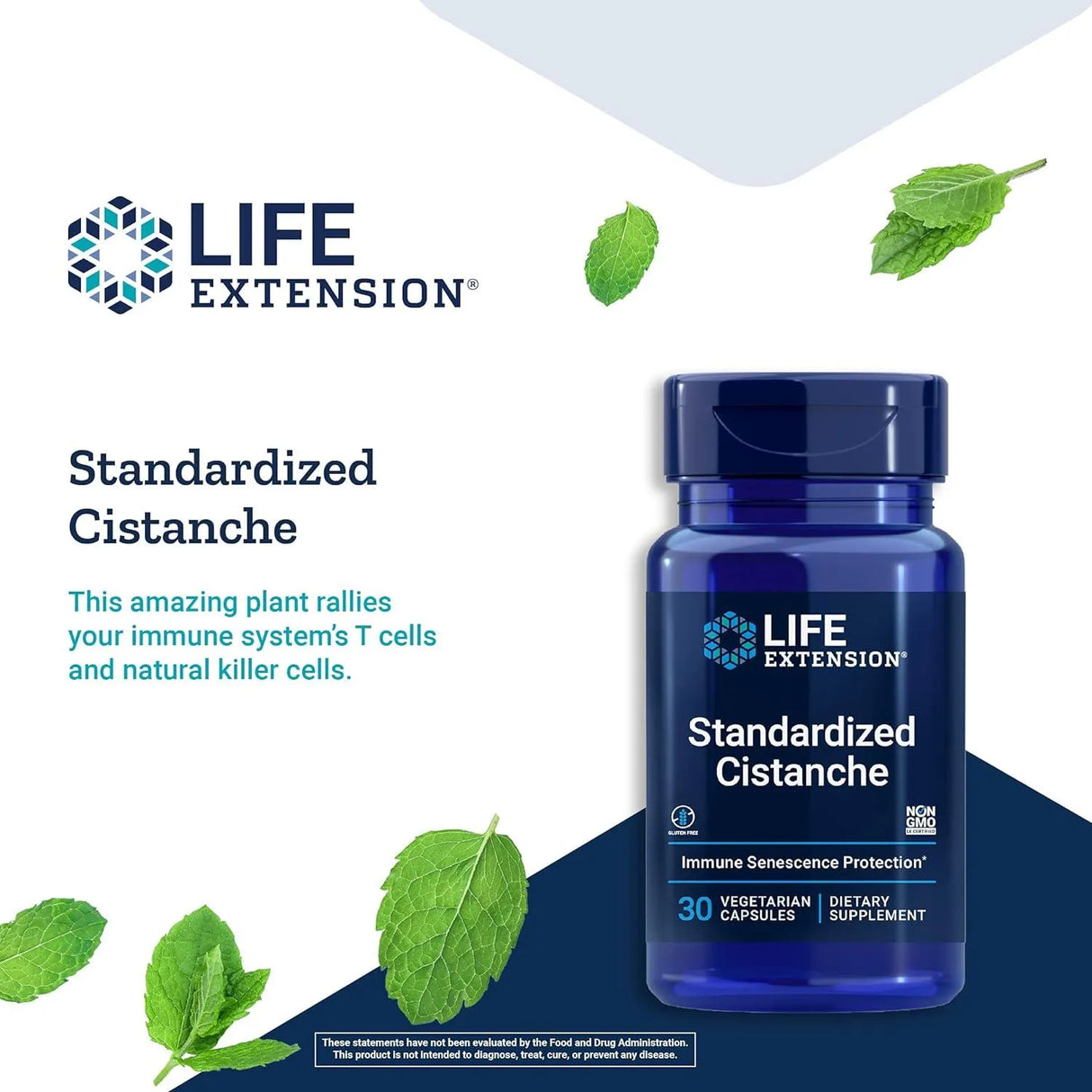 LIFE EXTENSION - Life Extension Standardized Cistanche 30 Capsulas - The Red Vitamin MX - Suplementos Alimenticios - {{ shop.shopifyCountryName }}