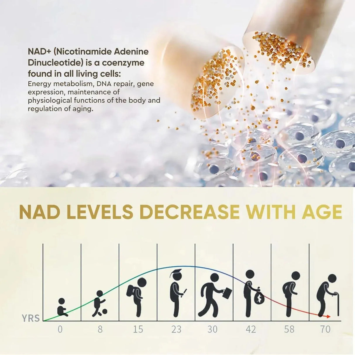 LIFE NUTRITION - Life Nutrition NAD+ Resveratrol Boosting 120 Capsulas - The Red Vitamin MX - Suplementos Alimenticios - {{ shop.shopifyCountryName }}