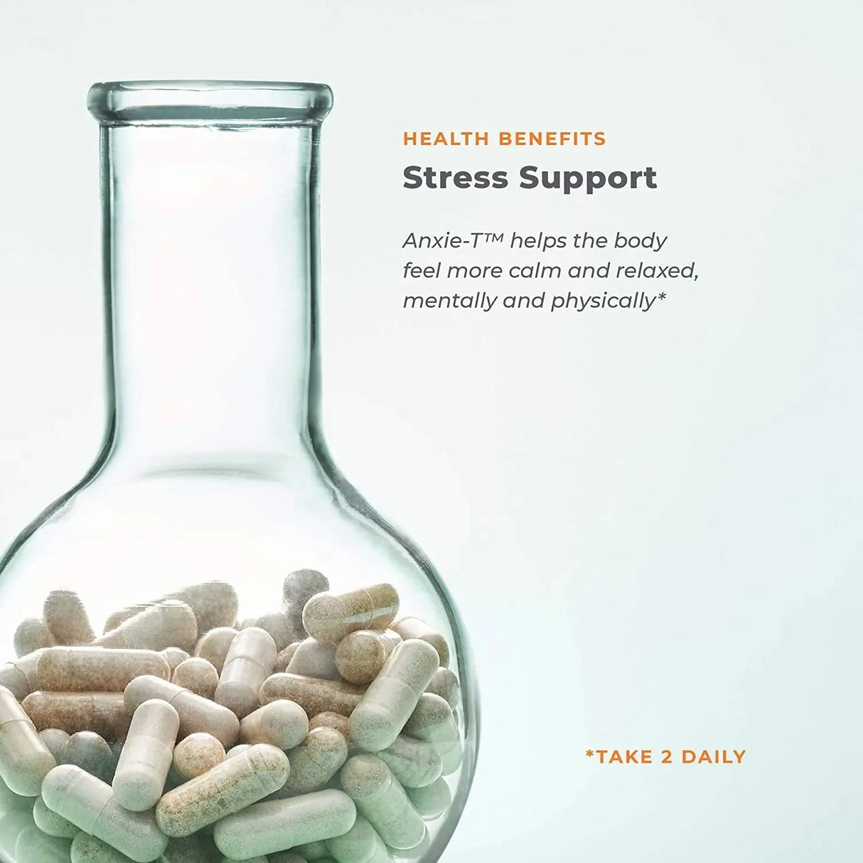 LIFE SEASONS - Life Seasons Anxie-T Herbal Stress Relief Supplement to Relax and Calm Mind 120 Capsulas - The Red Vitamin MX - Suplementos Alimenticios - {{ shop.shopifyCountryName }}