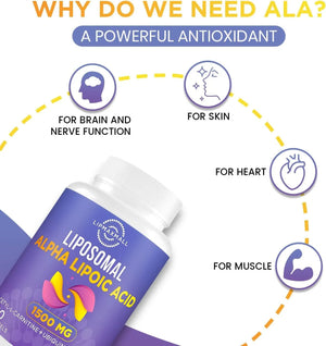 LIPMAXMALL - Lipmaxmall Liposomal Alpha Lipoic Acid 1500Mg. 120 Capsulas Blandas - The Red Vitamin MX - Suplementos Alimenticios - {{ shop.shopifyCountryName }}