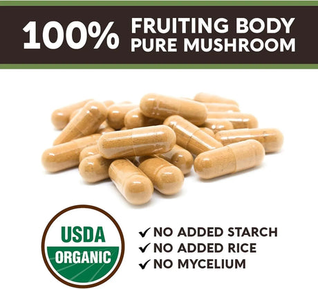 LONGEVITY BOTANICALS - Longevity Botanicals Organic Turkey Tail Mushroom 240 Capsulas - The Red Vitamin MX - Suplementos Alimenticios - {{ shop.shopifyCountryName }}