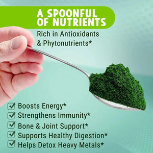 MAJU SUPERFOODS - MAJU's Organic Spirulina Powder 227Gr. - The Red Vitamin MX - Suplementos Alimenticios - {{ shop.shopifyCountryName }}