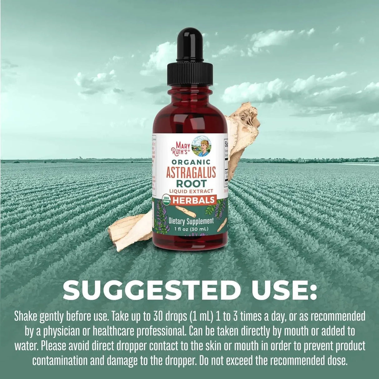 MARY RUTH ORGANICS - MaryRuth Organics Astragalus Root 1 Fl. Oz. - The Red Vitamin MX - Suplementos Alimenticios - {{ shop.shopifyCountryName }}