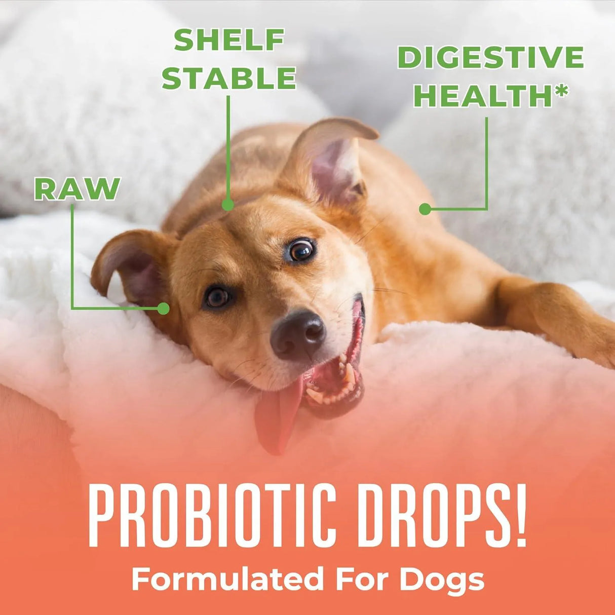 MARY RUTH ORGANICS - MaryRuth Organics Dog Probiotic 4 Fl.Oz. - The Red Vitamin MX - Probióticos Para Perros - {{ shop.shopifyCountryName }}