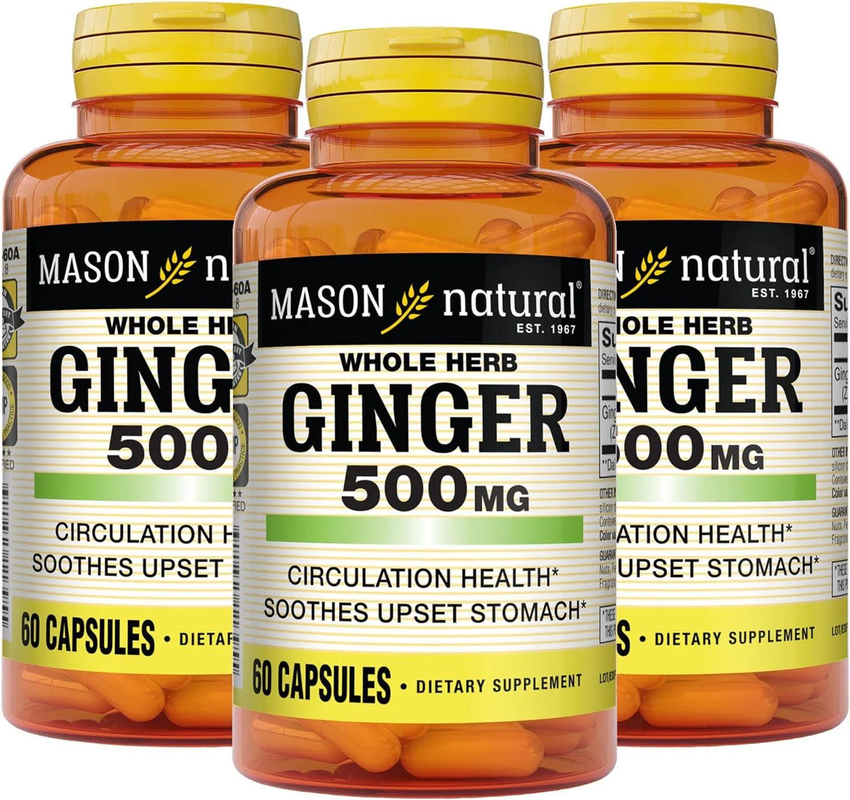 MASON NATURAL - MASON NATURAL Whole Herb Ginger 500Mg. 60 Capsulas 3 Pack - The Red Vitamin MX - Suplementos Alimenticios - {{ shop.shopifyCountryName }}