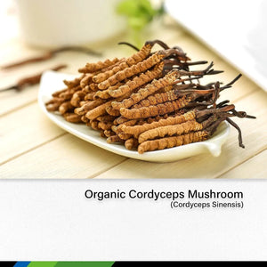 MAUWE HERBS - MAUWE HERBS Cordyceps Mushroom Supplement 2 Fl. Oz. - The Red Vitamin MX - Suplementos Alimenticios - {{ shop.shopifyCountryName }}