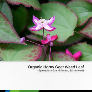 MAUWE HERBS - Mauwe Herbs Horny Goat Weed Extract Drops 2 Fl. Oz. - The Red Vitamin MX - Suplementos Alimenticios - {{ shop.shopifyCountryName }}