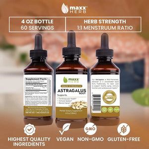 MAXX HERB - Maxx Herb Astragalus Root Extract 120Ml. - The Red Vitamin MX - Suplementos Alimenticios - {{ shop.shopifyCountryName }}