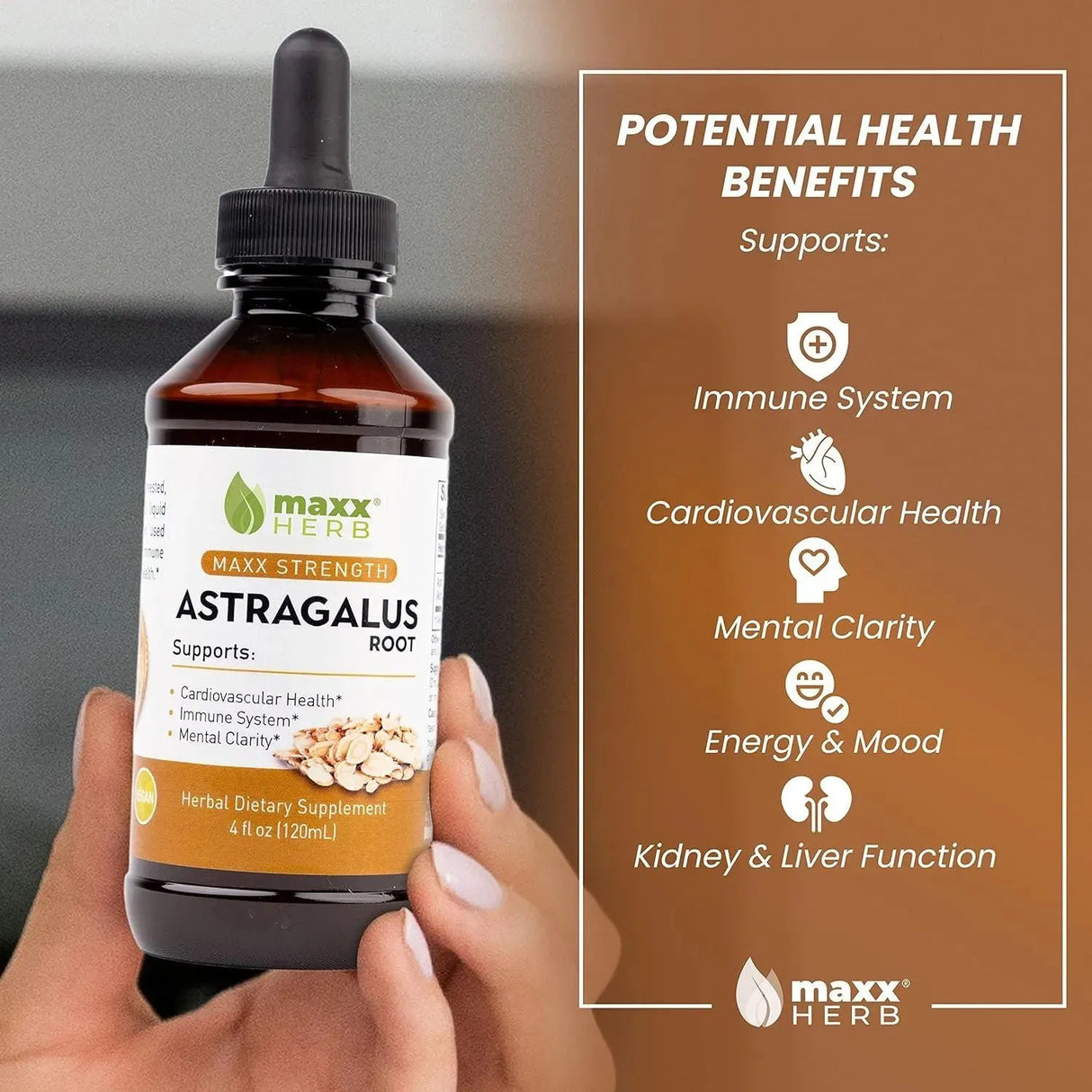 MAXX HERB - Maxx Herb Astragalus Root Extract 120Ml. - The Red Vitamin MX - Suplementos Alimenticios - {{ shop.shopifyCountryName }}