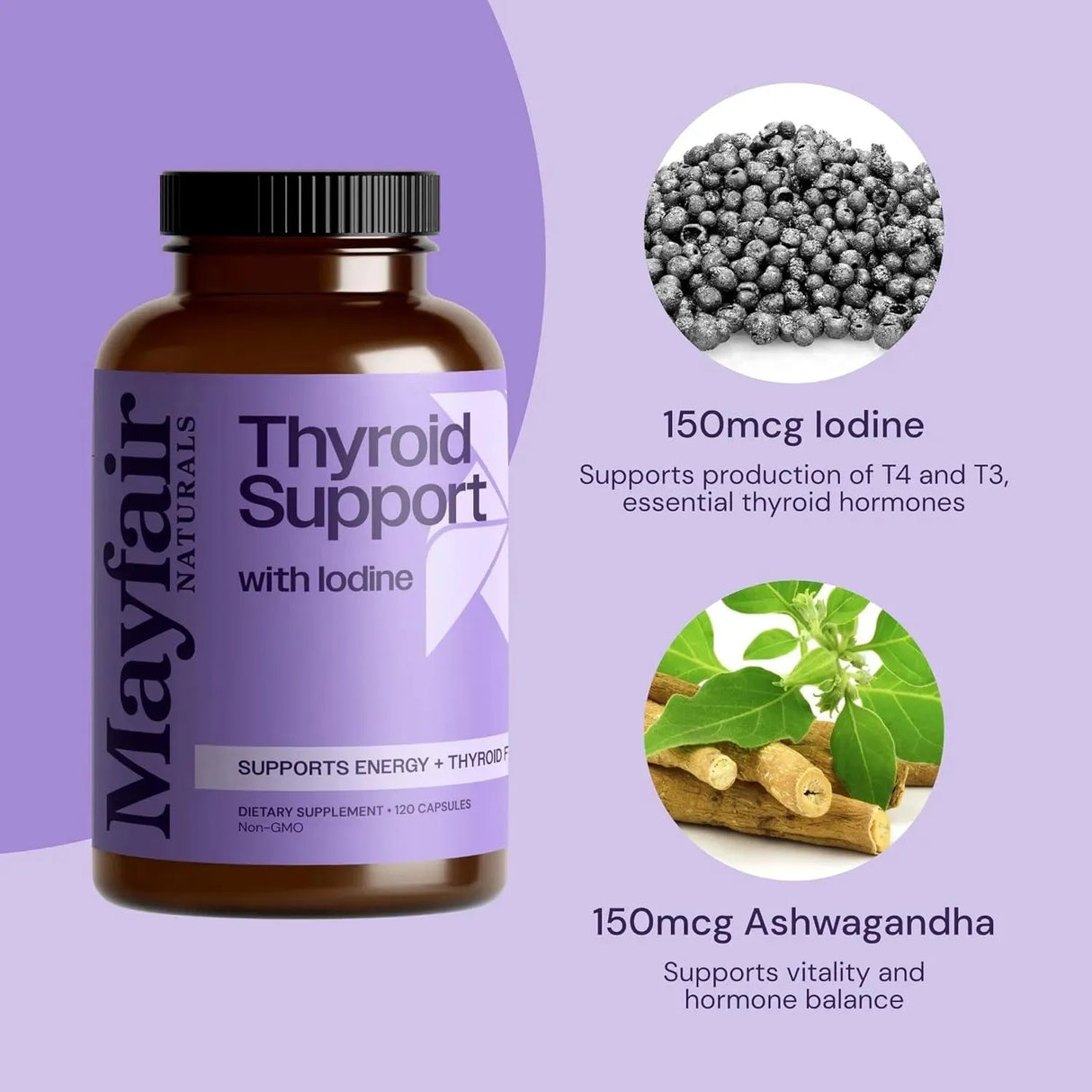 MAYFAIR - Mayfair Naturals Thyroid Support with Iodine 120 Capsulas - The Red Vitamin MX - Suplementos Alimenticios - {{ shop.shopifyCountryName }}