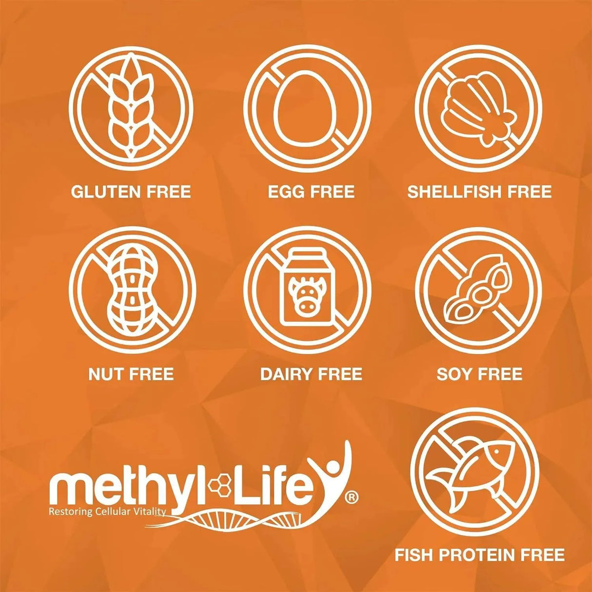 METHYL-LIFE - Methyl-Life Purest L-Methylfolate 5Mg. 90 Tabletas Masticables - The Red Vitamin MX - Suplementos Alimenticios - {{ shop.shopifyCountryName }}