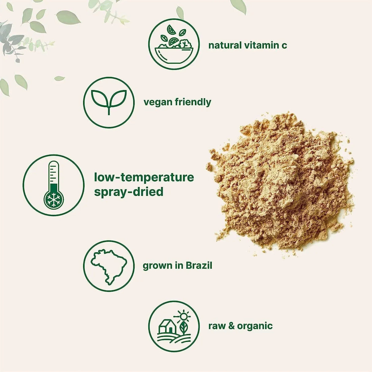 MICRO INGREDIENTS - Micro Ingredients Organic Acerola Powder 227Gr. 2 Pack - The Red Vitamin MX - Suplementos Alimenticios - {{ shop.shopifyCountryName }}
