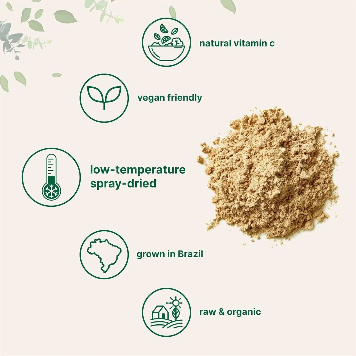 MICRO INGREDIENTS - Micro Ingredients Organic Acerola Powder 227Gr. - The Red Vitamin MX - Suplementos Alimenticios - {{ shop.shopifyCountryName }}