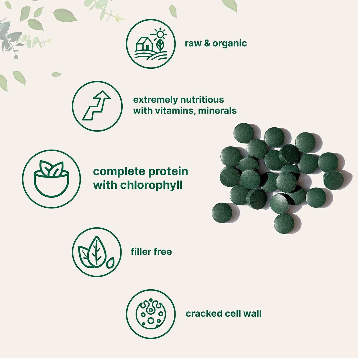 MICRO INGREDIENTS - Micro Ingredients Organic Chlorella 500Mg. 720 Tabletas - The Red Vitamin MX - Suplementos Alimenticios - {{ shop.shopifyCountryName }}