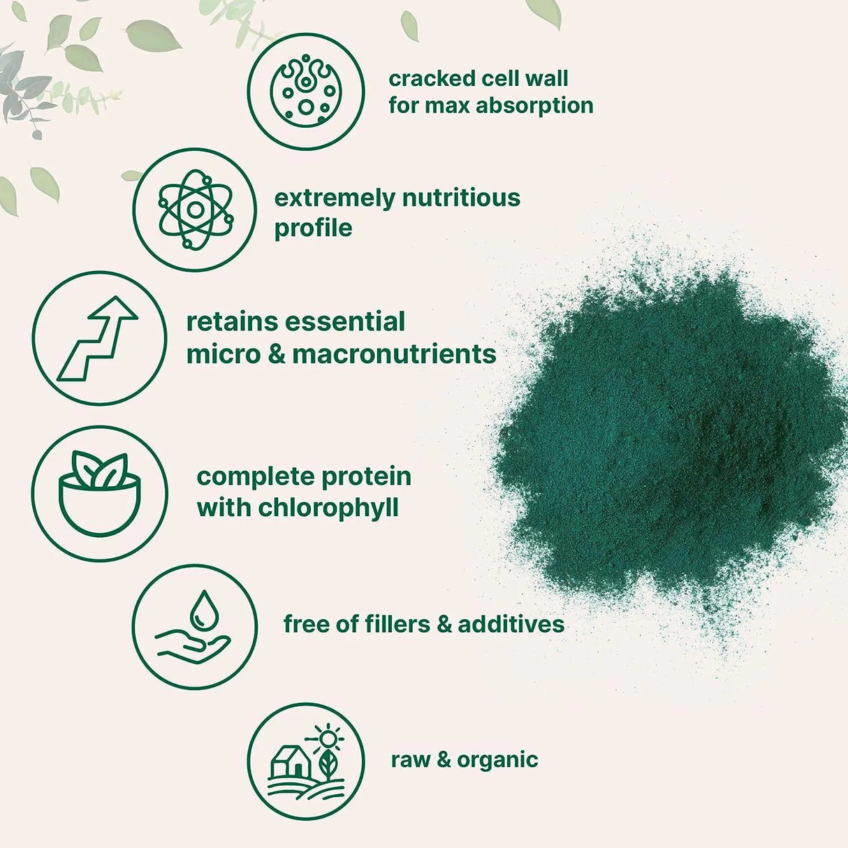 MICRO INGREDIENTS - Micro Ingredients Organic Chlorella Broken Cell Wall Powder 20Oz. - The Red Vitamin MX - Suplementos Alimenticios - {{ shop.shopifyCountryName }}