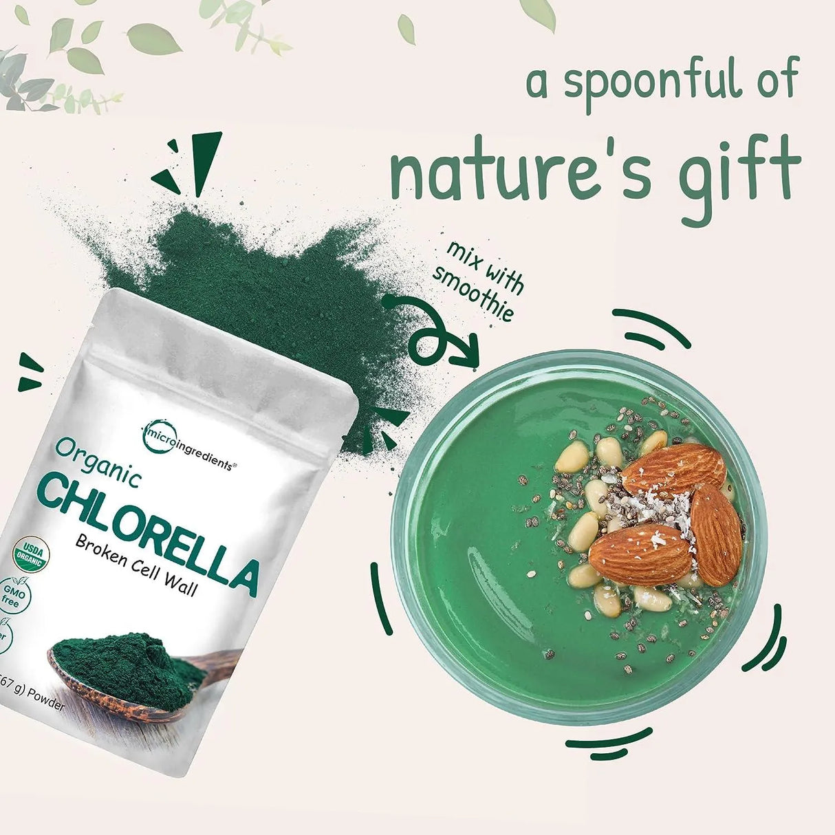 MICRO INGREDIENTS - Micro Ingredients Organic Chlorella Broken Cell Wall Powder 20Oz. - The Red Vitamin MX - Suplementos Alimenticios - {{ shop.shopifyCountryName }}