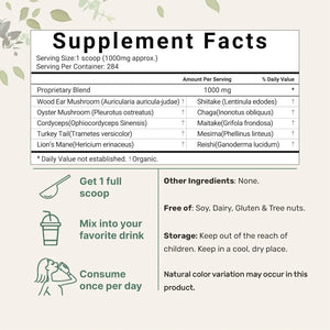 MICRO INGREDIENTS - Micro Ingredients Organic Mega Mushroom 10 in 1 Complex 10Oz. - The Red Vitamin MX - Suplementos Alimenticios - {{ shop.shopifyCountryName }}