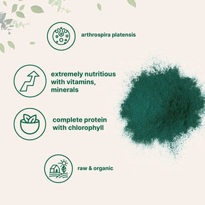 MICRO INGREDIENTS - Micro Ingredients Organic Spirulina Powder 454Gr. - The Red Vitamin MX - Suplementos Alimenticios - {{ shop.shopifyCountryName }}