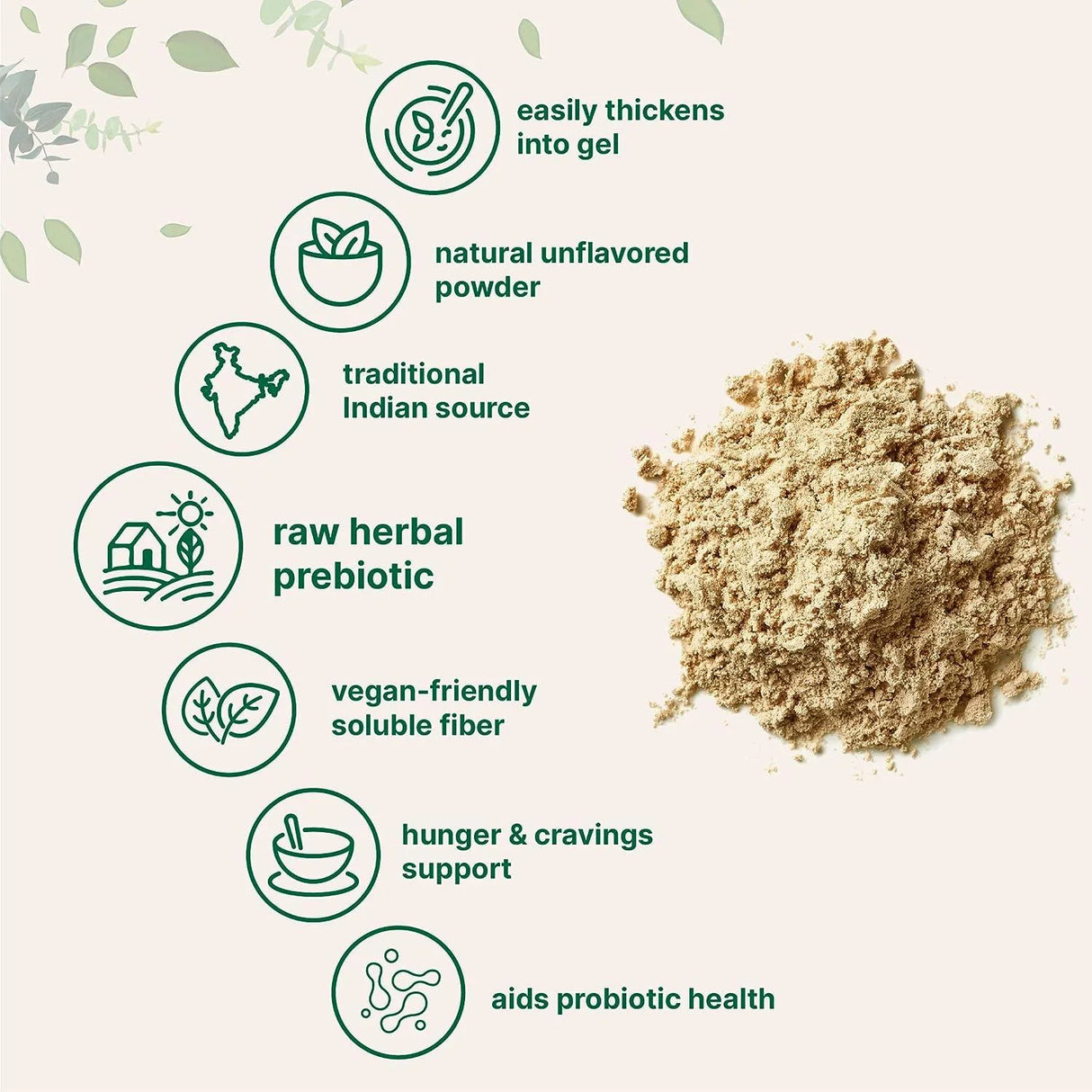 MICRO INGREDIENTS - Micro Ingredients Psyllium Husk Powder 907Gr. - The Red Vitamin MX - Suplementos Alimenticios - {{ shop.shopifyCountryName }}