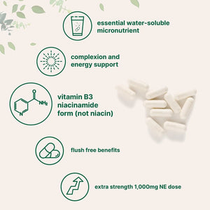 MICRO INGREDIENTS - Micro Ingredients Vitamin B3 Nicotinamide 1,000Mg. 400 Capsulas - The Red Vitamin MX - Suplementos Alimenticios - {{ shop.shopifyCountryName }}