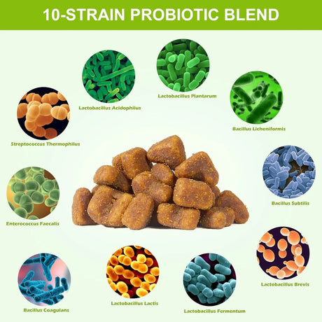 MOINGO - Moingo Probiotics for Dogs Chicken Flavored 180 Masticables - The Red Vitamin MX - Probióticos Para Perros - {{ shop.shopifyCountryName }}