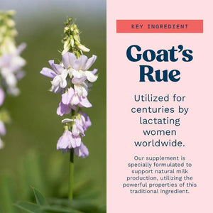 MOMMY KNOWS BEST - Mommy Knows Best Goat's Rue 120 Capsulas - The Red Vitamin MX - Suplementos Alimenticios - {{ shop.shopifyCountryName }}