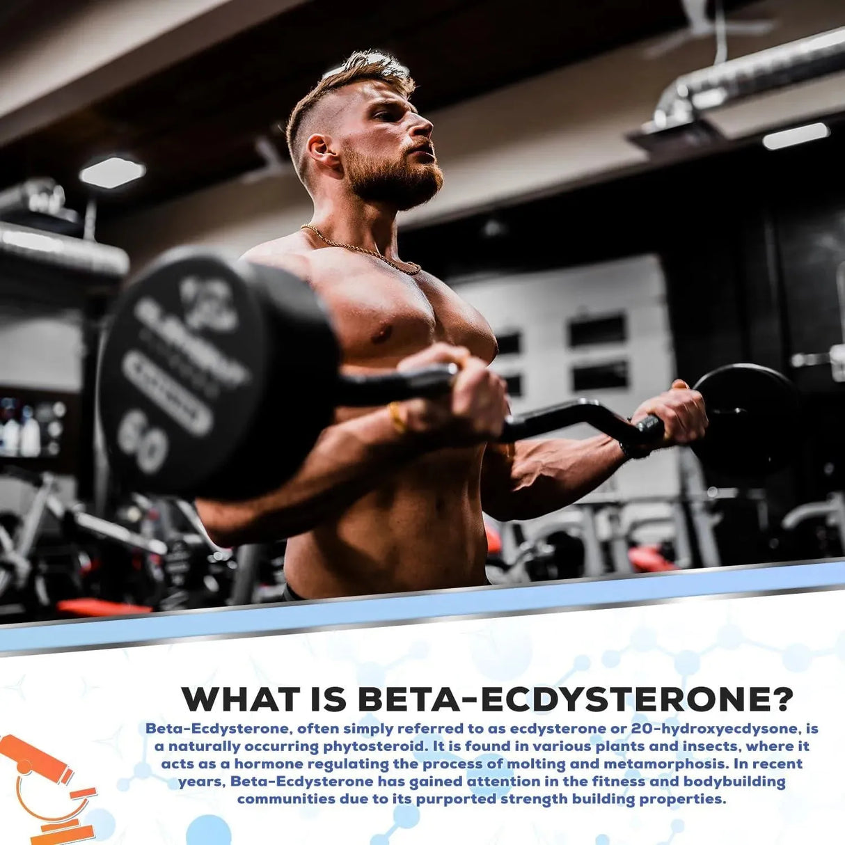 MUSCLE EMPIRE - Muscle Empire Beta-Ecdysterone 1100Mg. 60 Capsulas - The Red Vitamin MX - Suplementos Alimenticios - {{ shop.shopifyCountryName }}