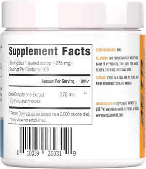 MUSCLE EMPIRE - Muscle Empire Beta-Ecdysterone Powder 30Gr. - The Red Vitamin MX - Suplementos Alimenticios - {{ shop.shopifyCountryName }}