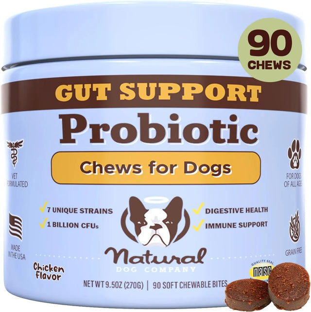 NATURAL DOG COMPANY - Natural Dog Company Probiotic Chews for Dogs Chicken Flavor 90 Masticables - The Red Vitamin MX - Probióticos Para Perros - {{ shop.shopifyCountryName }}