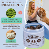 NATURAL DOG COMPANY - Natural Dog Company Probiotic Chews for Dogs Chicken Flavor 90 Masticables - The Red Vitamin MX - Probióticos Para Perros - {{ shop.shopifyCountryName }}